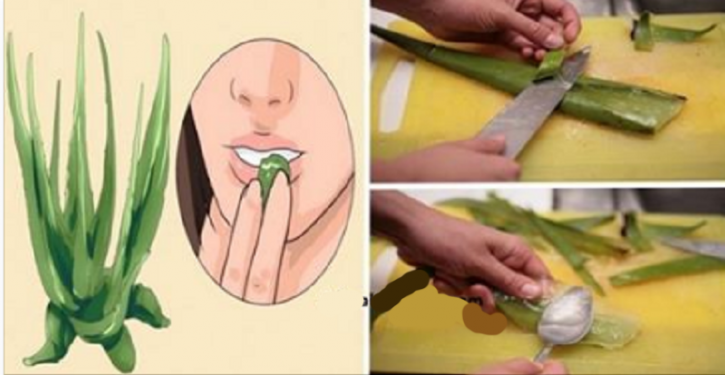 Pourquoi Boire du Jus d’Aloe Vera Chaque Jour !