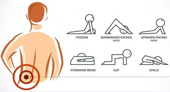 4 exercices pour soulager la douleur du bas du dos « lombalgies »