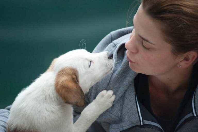 Pourquoi il vaut mieux ne PAS tomber amoureux d’une femme qui aime les chiens