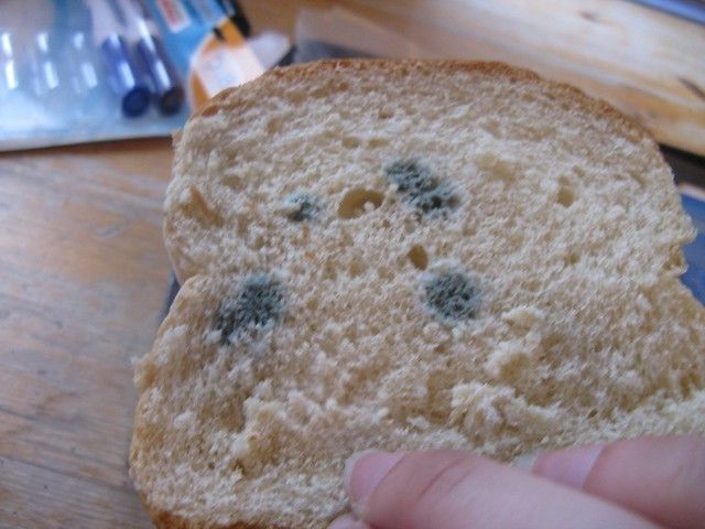 Peut-on manger la « bonne » partie du pain moisi ? Voici la réponse
