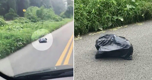 Elle voit un sac poubelle « marcher » sur la route. Elle s’en approche et l’ouvre…