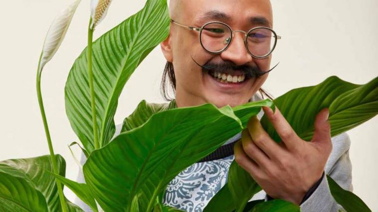La meilleure plante qui attire chance, amour et argent