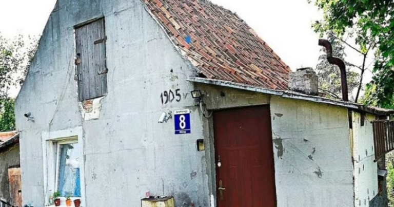 Une mère célibataire de nombreux enfants vivait dans une maison délabrée avec des enfants, les voisins ont aidé à faire des réparations