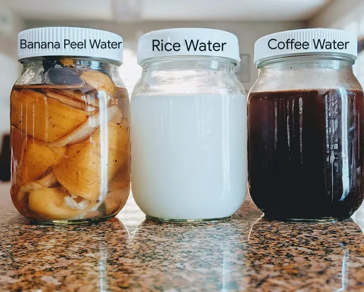 5 infusions maison pour fertiliser et nourrir vos plantes