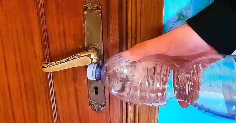 Enfermé dehors ? Voici comment ouvrir une porte avec une bouteille