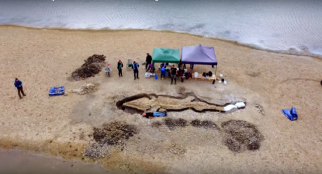 Le fossile d’un « dragon des mers » de 10 m de long refait surface au Royaume-Uni