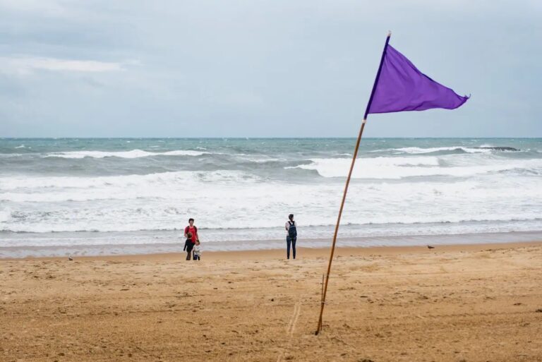 Quelle est la signification du drapeau violet à la plage ? ??️?