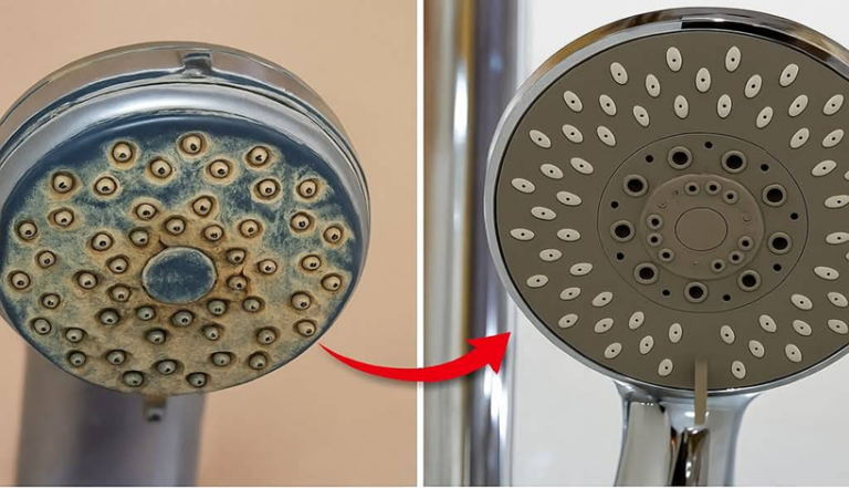 ? Une astuce pour nettoyer votre pomme de douche et améliorer la pression