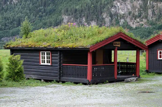 Pourquoi les maisons en Norvège ont-elles de l’herbe sur le toit ?