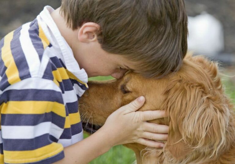 Comment les animaux aident les enfants à s’épanouir émotionnellement