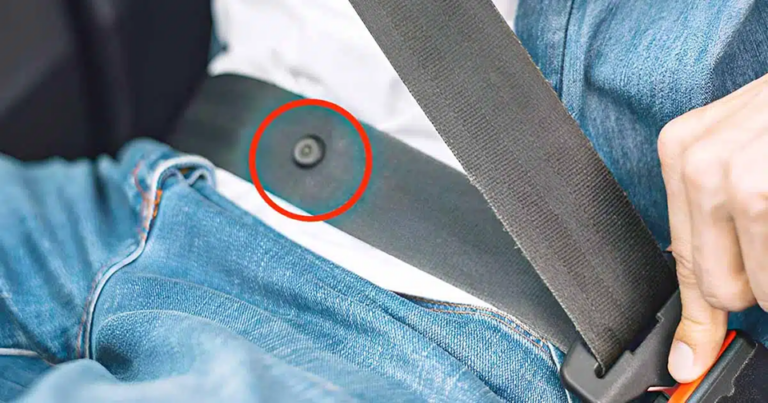 À quoi sert le petit bouton sur la ceinture de sécurité ?