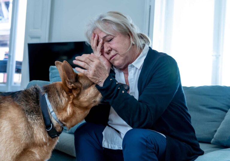 Votre chien comprend-il vos émotions ? La science répond
