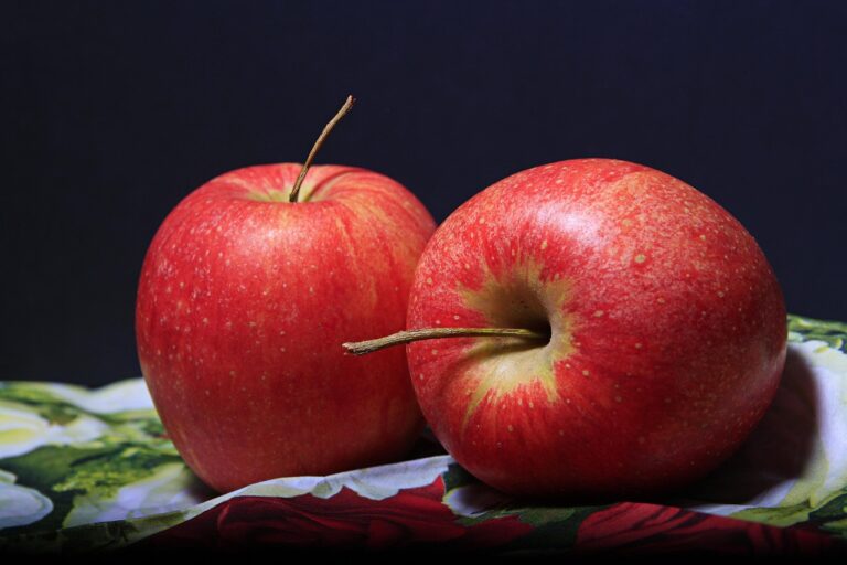 Une pomme par jour : quels sont les véritables effets sur la santé ?
