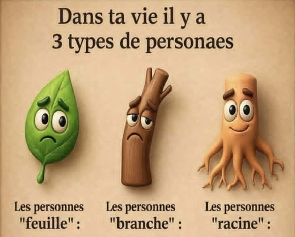 3 types de personnes : feuille, branche ou racine… lesquelles gardez-vous ?