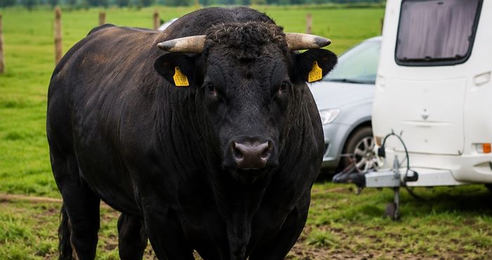Occupation illégale : excédé par l’attente, un agriculteur choisit une méthode pour le moins inattendue